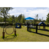 RECF0006XX - Through The Target Dog Exercise Equipment For Parks - Inground Mount